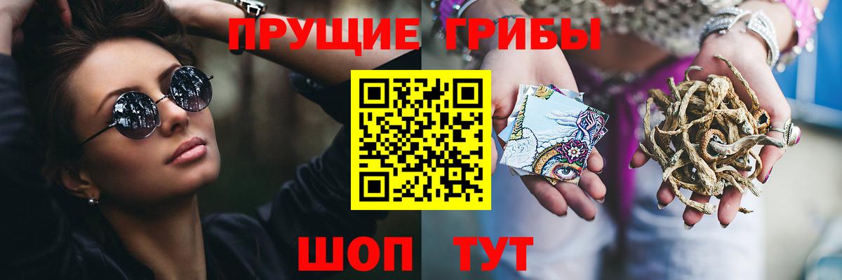 Краснодар  Псилоцибиновые грибы мицелий  Вход с VPN  Псилоцибиновые грибы мухоморы 